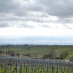 23-03-13 10-01-18 4813